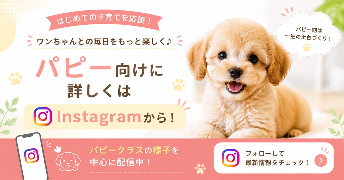 ワンちゃんとの毎日をもっと楽しく！パピー向けに詳しくはInstagramから