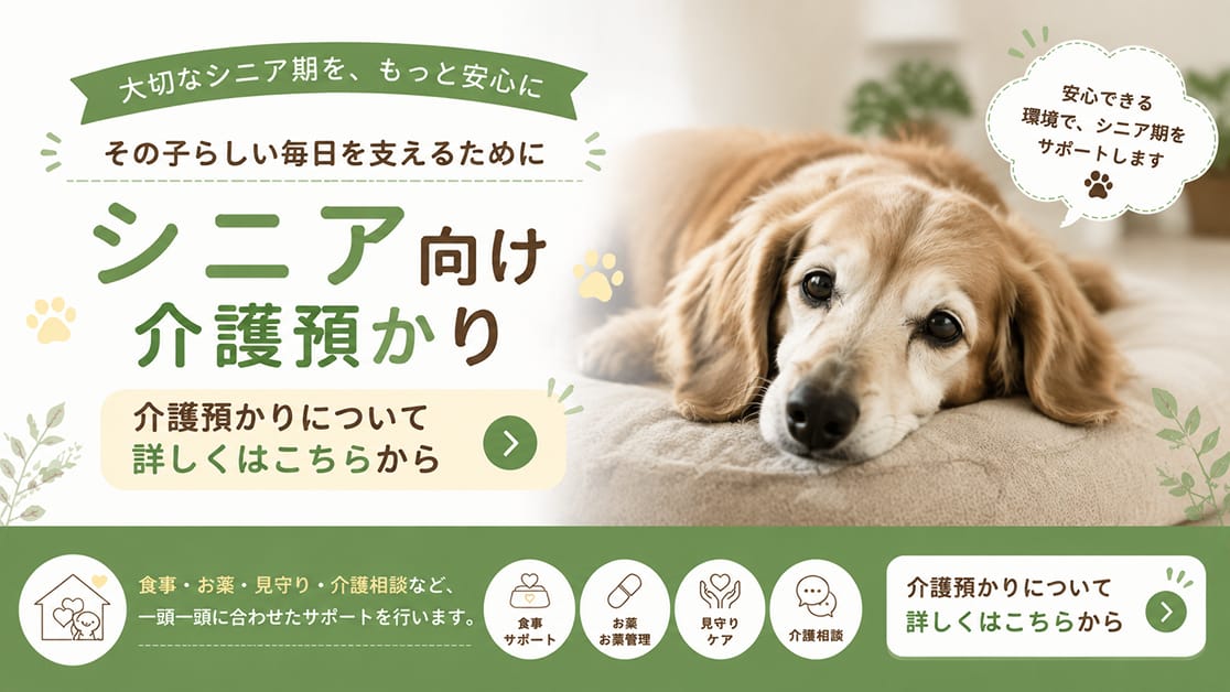 その子らしい毎日を支えるためにシニア向け介護預かり