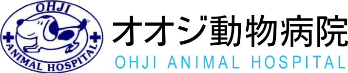 オオジ動物病院