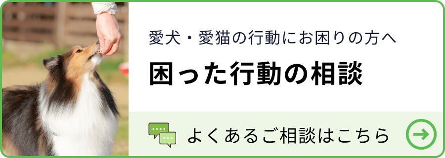 困ったことの相談