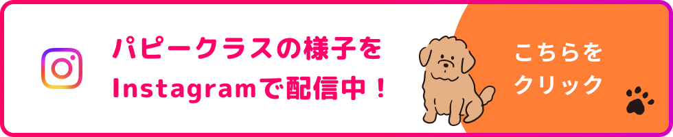 パピークラスの様子をInstagramで配信中！